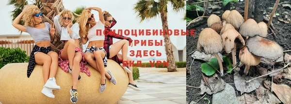 герыч Абинск